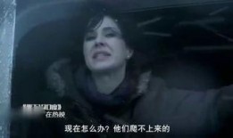 零下100度在线观看,揭秘极寒世界的生存挑战